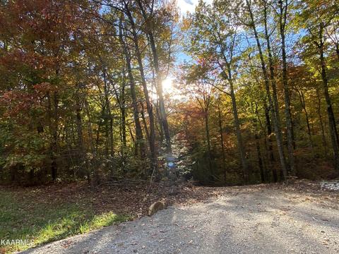 505 Catoosa Ridge Rd, Rockwood, TN 37854