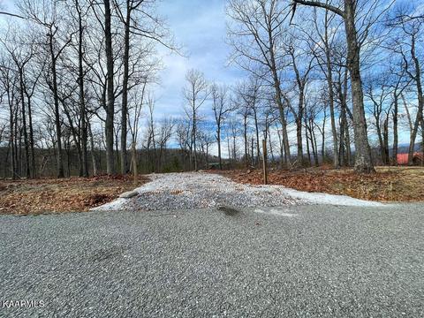 00 Chimney Rock Ln, La Follette, TN 37766