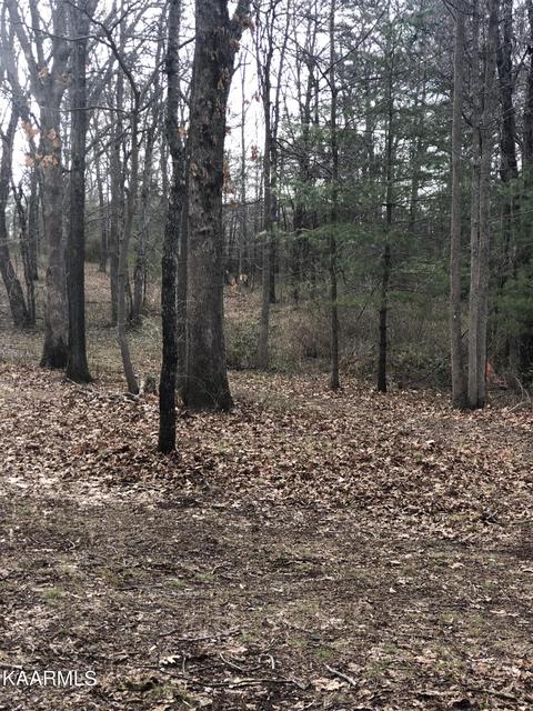 1112 Mohave Dr, Crossville, TN 38572