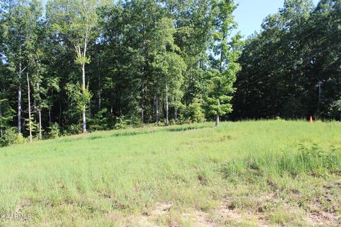Laurel Drive, Jamestown, TN 38556