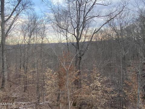 1081 Whistle Valley Road Rd, New Tazewell, TN 37825