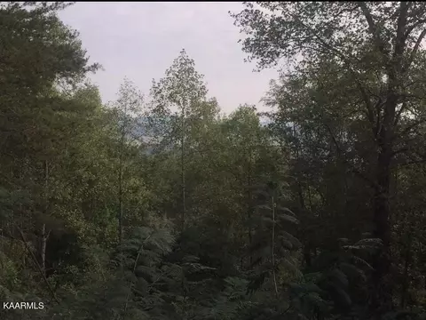 Townview Drive, Tellico Plains, TN 37385