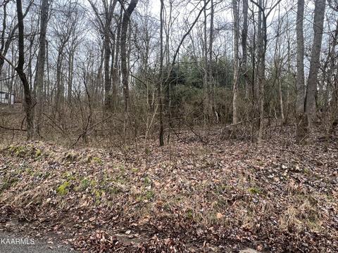 Shady Trail Drive, Kingston, TN 37763