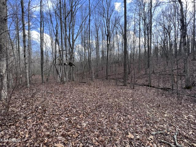Wilson Ridge Rd, Jamestown, TN 38556