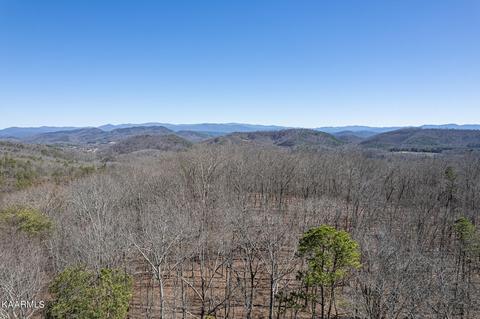 1350 Big Creek Rd, Madisonville, TN 37354