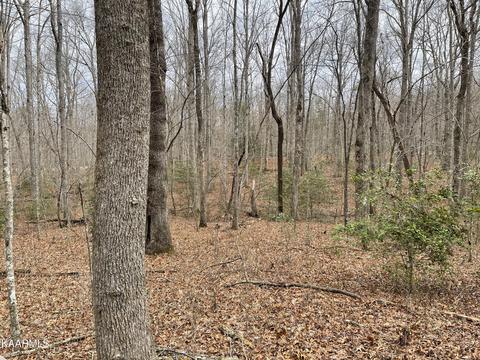 Sylvan Drive, Monterey, TN 38574