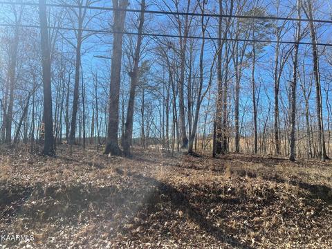 41 Halfmoon Shores Drive, Ten Mile, TN 37880