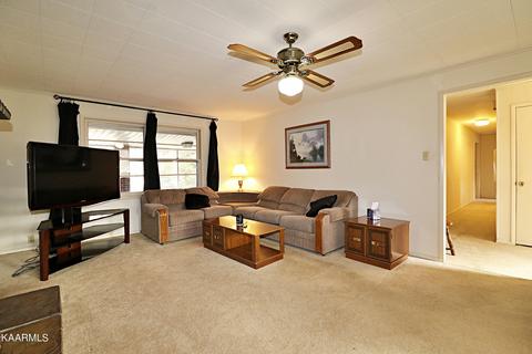 206 E Seneca Cir, Oneida, TN 37841 photo 4