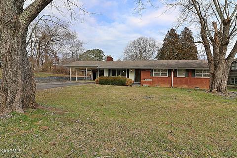 206 E Seneca Cir, Oneida, TN 37841 photo 49