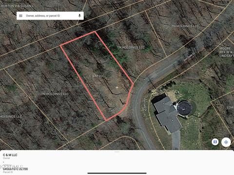 Iron Gate Drive Drive, Baneberry, TN 37890