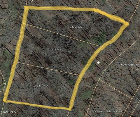 Tree Line Lane Lane, Baneberry, TN 37890