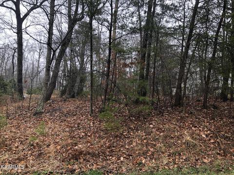 20 Bent Oak Ln, Crossville, TN 38558