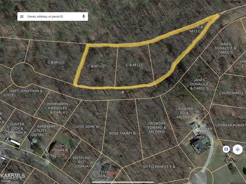 Shady Hollow, Baneberry, TN 37890