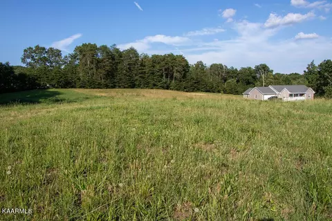 Dogwood Meadows Drive, Strawberry Plains, TN 37871