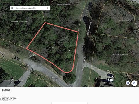 Grant Place Place, Baneberry, TN 37890