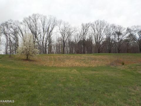 Brown Road, Blaine, TN 37709