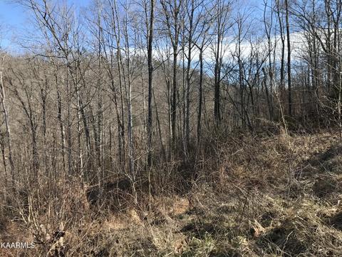 lot27 R Emerald Cove Way, Maynardville, TN 37807