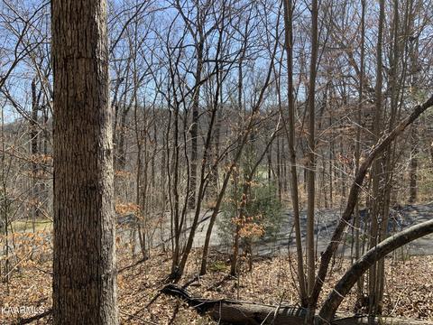 80 Norris Shores Drive, Sharps Chapel, TN 37866