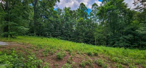 Lot 2 Peregrine Drive, Tazewell, TN 37879