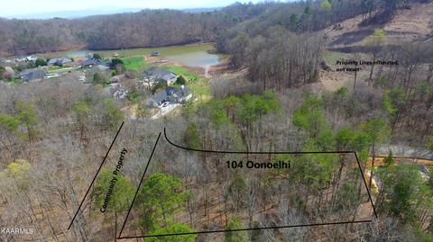 104 Oonolehi, Loudon, TN 37774