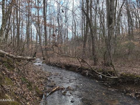 Swafford Rd, Spring City, TN 37381