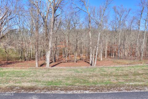 347 Water View Drive, Rockwood, TN 37854