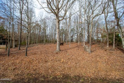 116 Nunyu Tr, Vonore, TN 37885