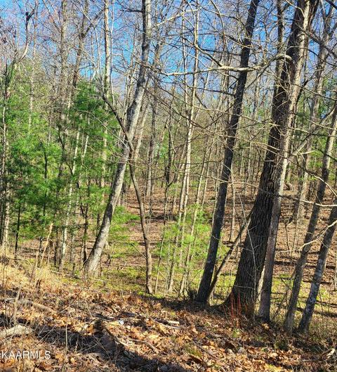 Lot 26, Tallassee, TN 37878