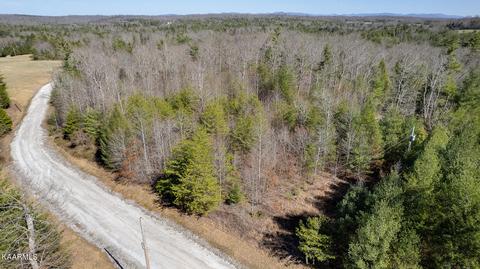 White Creek Loop, Deer Lodge, TN 37726