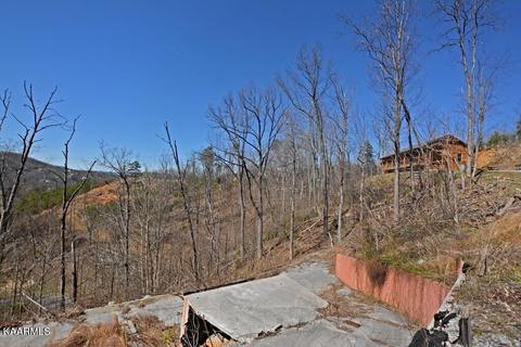 1253 Appalachian Ln, Gatlinburg, TN 37738