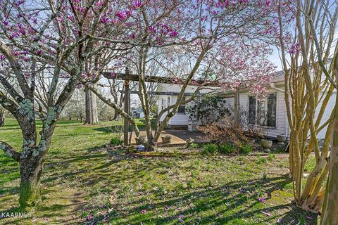 454 1st Ave S, Baxter, TN 38544 photo 36