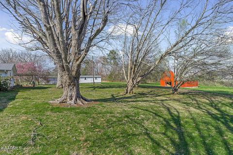 454 1st Ave S, Baxter, TN 38544 photo 42
