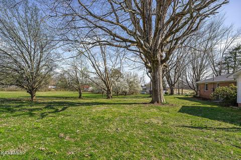 454 1st Ave S, Baxter, TN 38544 photo 40