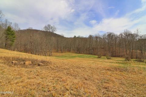 6201 Buffalo Rd, Oneida, TN 37841 photo 38