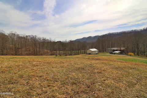 6201 Buffalo Rd, Oneida, TN 37841 photo 36