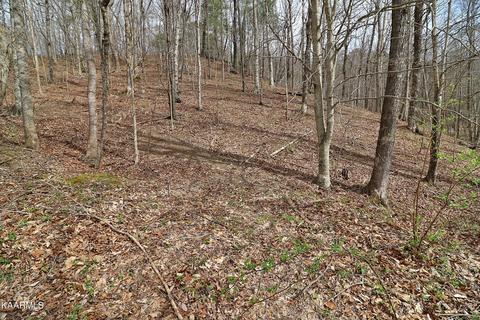 6201 Buffalo Rd, Oneida, TN 37841 photo 41