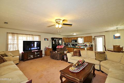 6201 Buffalo Rd, Oneida, TN 37841 photo 8