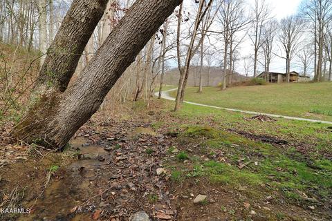 6201 Buffalo Rd, Oneida, TN 37841 photo 2