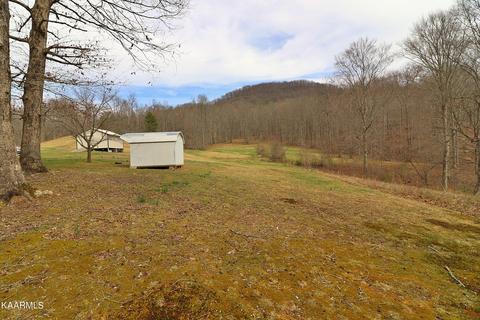 6201 Buffalo Rd, Oneida, TN 37841 photo 53