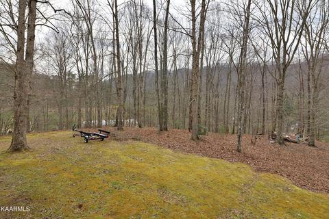 6201 Buffalo Rd, Oneida, TN 37841 photo 54