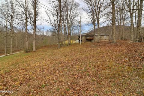 6201 Buffalo Rd, Oneida, TN 37841 photo 49