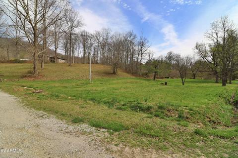 6201 Buffalo Rd, Oneida, TN 37841 photo 56