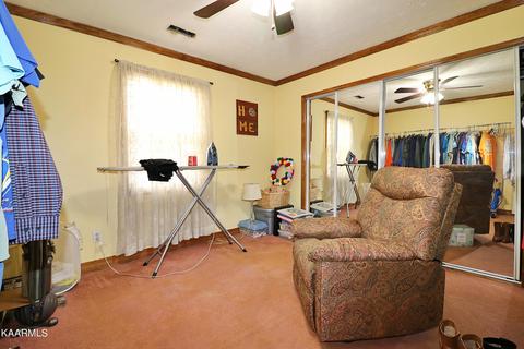 6201 Buffalo Rd, Oneida, TN 37841 photo 20