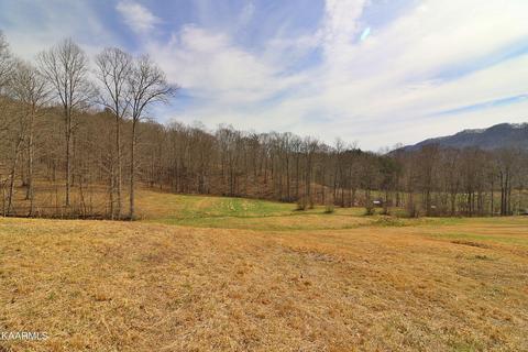 6201 Buffalo Rd, Oneida, TN 37841 photo 42