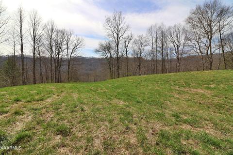 6201 Buffalo Rd, Oneida, TN 37841 photo 33