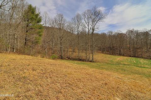 6201 Buffalo Rd, Oneida, TN 37841 photo 35
