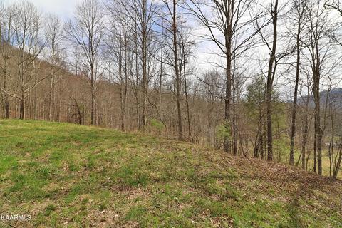6201 Buffalo Rd, Oneida, TN 37841 photo 31