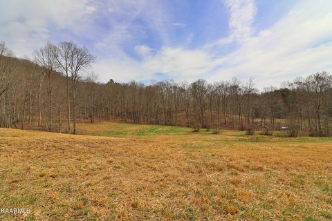 6201 Buffalo Rd, Oneida, TN 37841 photo 37