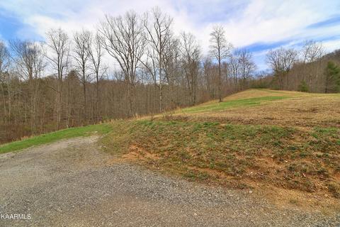 6201 Buffalo Rd, Oneida, TN 37841 photo 47