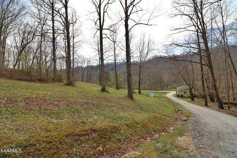 6201 Buffalo Rd, Oneida, TN 37841 photo 39